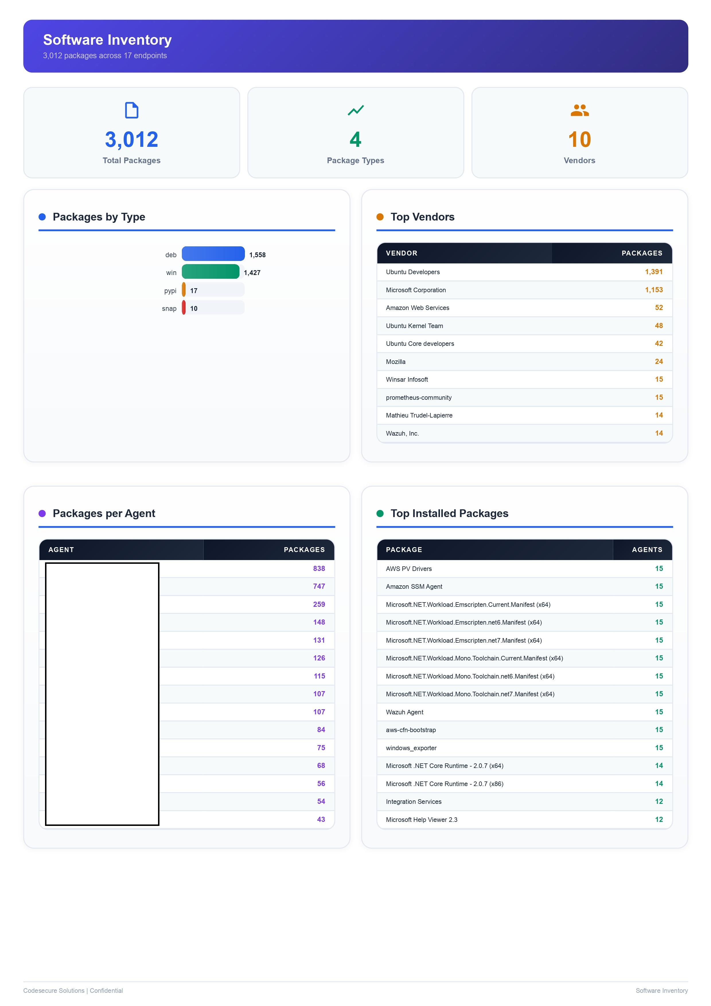 IT asset software inventory report listing 3,012 installed packages with vendors and top package breakdown